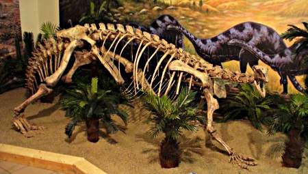 Urwelt Museum 
