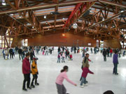 Eissport-Zentrum Waldau