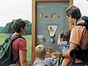 Museum Wald und Umwelt Ebersberg