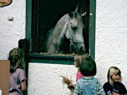 Reiter- und Lamahof
