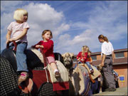Kindergeburtstag auf dem Kamelhof Rotfelden