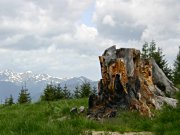 Nationalpark Berchtesgaden