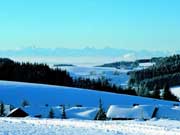 Skifahren in Herrischried