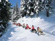 Skifahren und Rodeln in Lenzkirch
