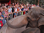 Allwetterzoo Münster