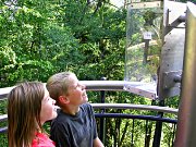 Biosphärenhaus und Baumwipfelpfad