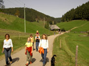 Kinderwagenfreundliche Wanderwege im Belchenland