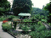 Botanischen Garten in Berlin