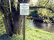 Der Flusslehrpfad bei Waiblingen