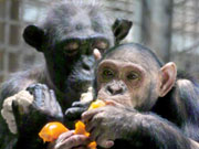 Tierpark im Leintal