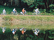 Radtour Rheinauen