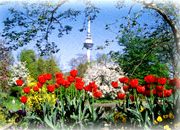 Luisenpark in Mannheim