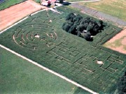 Maislabyrinth Holleshof in Wachtendonk