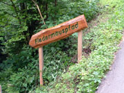 Fledermauspfad