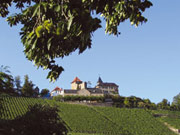 Arboretum Schloss Eberstein