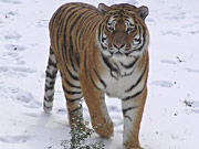 Zoo Landau in der Pfalz