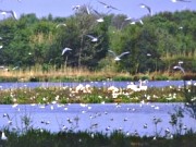 Biologische Station Zwillbrock in Vreden