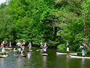 Stand Up Paddeln auf dem Müggelsee