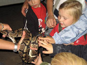 Kindergeburtstag im Tiergarten Worms
