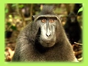 Tierpark Hamm