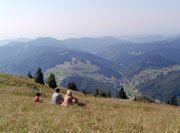 Naturpark Südschwarzwald