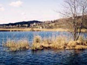 Mindelsee