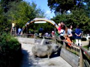 Arche Noah in Meerbusch