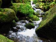 Wasserfällen in Triberg