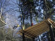 Wildnispfad Baden-Baden