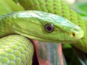 Terrazoo Rheinberg