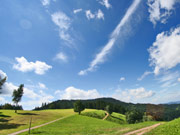 Naturpark Schwarzwald Süd