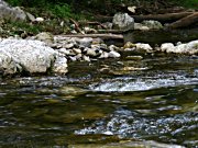 Wildbachlehrpfad in Benediktbeuern
