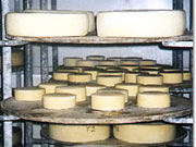 Schaukäserei Vogler