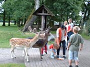 LandPark Lauenbrück