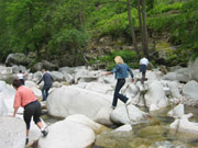 Flussbettwanderung an der Murg