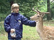 Wildpark Neuhaus