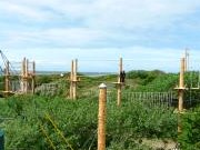 Kletterpark Kraxelmaxel Borkum