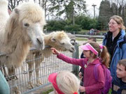 Kindergeburtstag im Heidelberger Zoo
