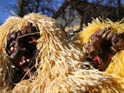 Schwäbisch-alemannische Fastnacht
