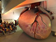Kinder-Akademie Fulda gGmbH