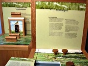 Dauerausstellung