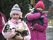 nature trails husky2