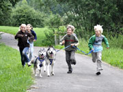 nature trails husky4