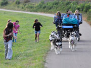 nature trails husky5