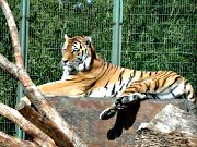 Eifel-Zoo 