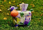 Bunte Sparkuh