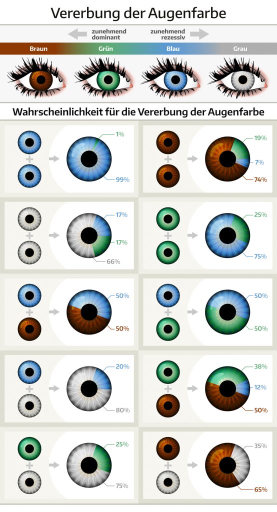 Vererbung der Augenfarbe