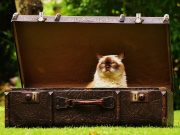 Kinder und der erste Reisekoffer