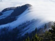 10 Ausflugstipps für Familien im Schwarzwald