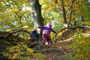 Kinder spielen im Wald